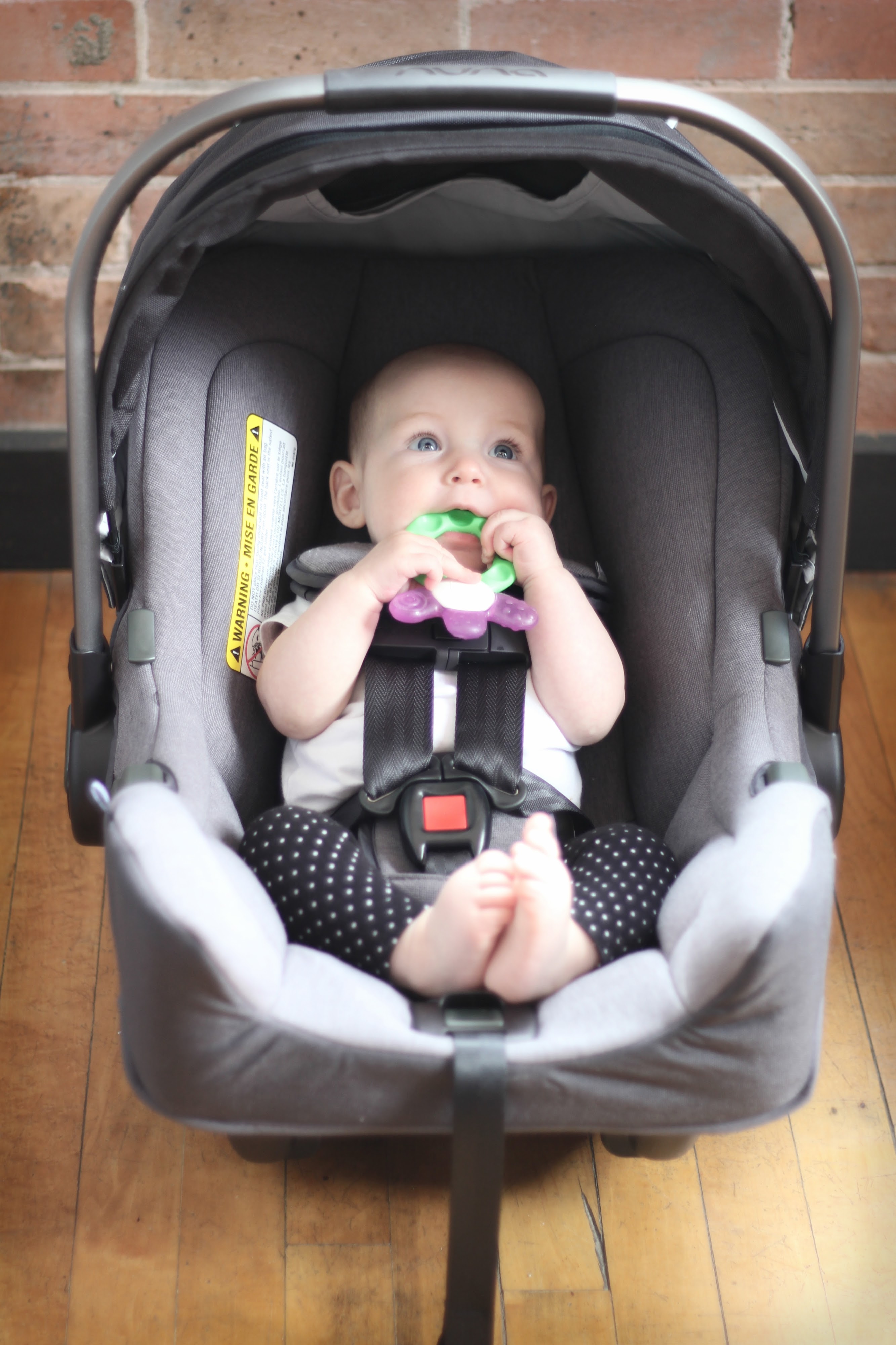 pipa baby car seat