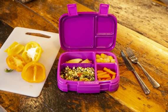 Bentgo Lunch Box Review –